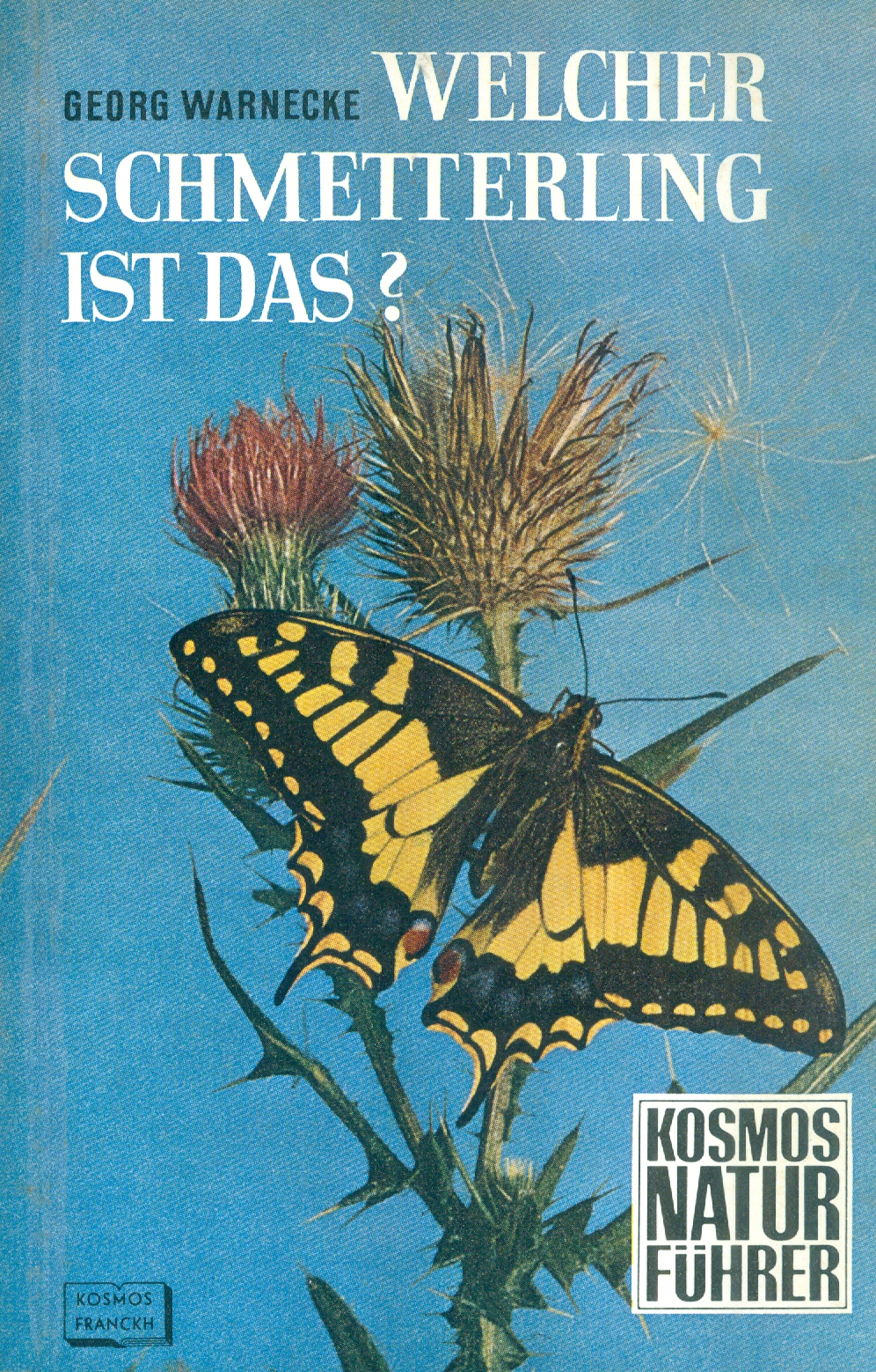 WELCHER SCHMETTERLING IST DAS?